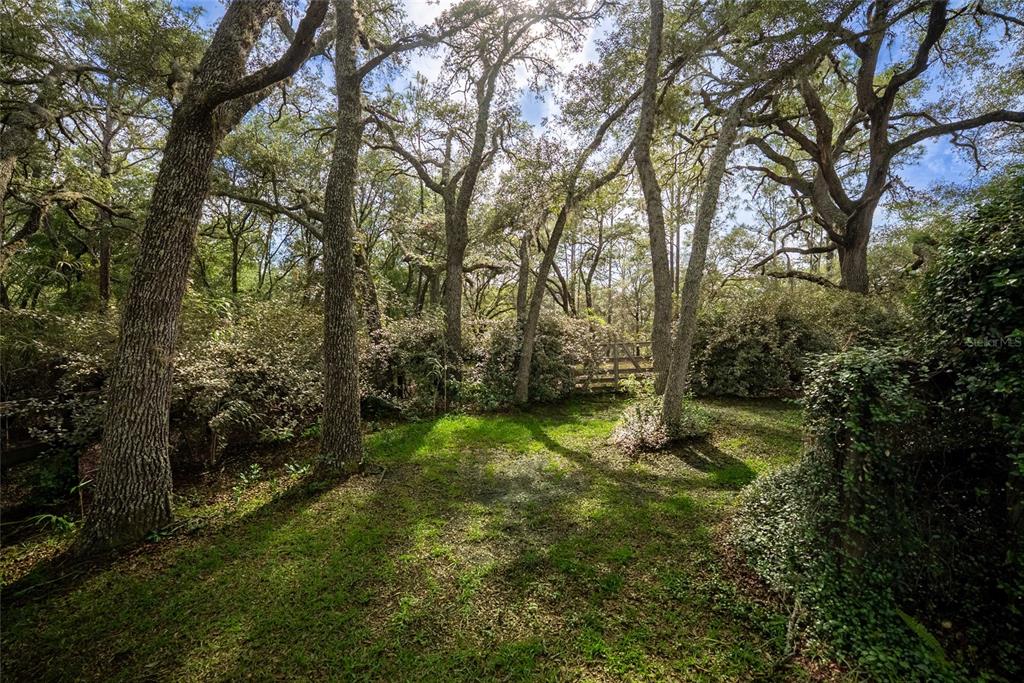 5042 Southwest 166th Court Road Ocala, FL 34481 - Photo 69 of 88