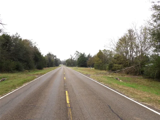 a view of a big yard with potted plants