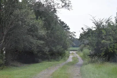 $18,000 | 0 Lilac Lane, Nesmith, SC 29580