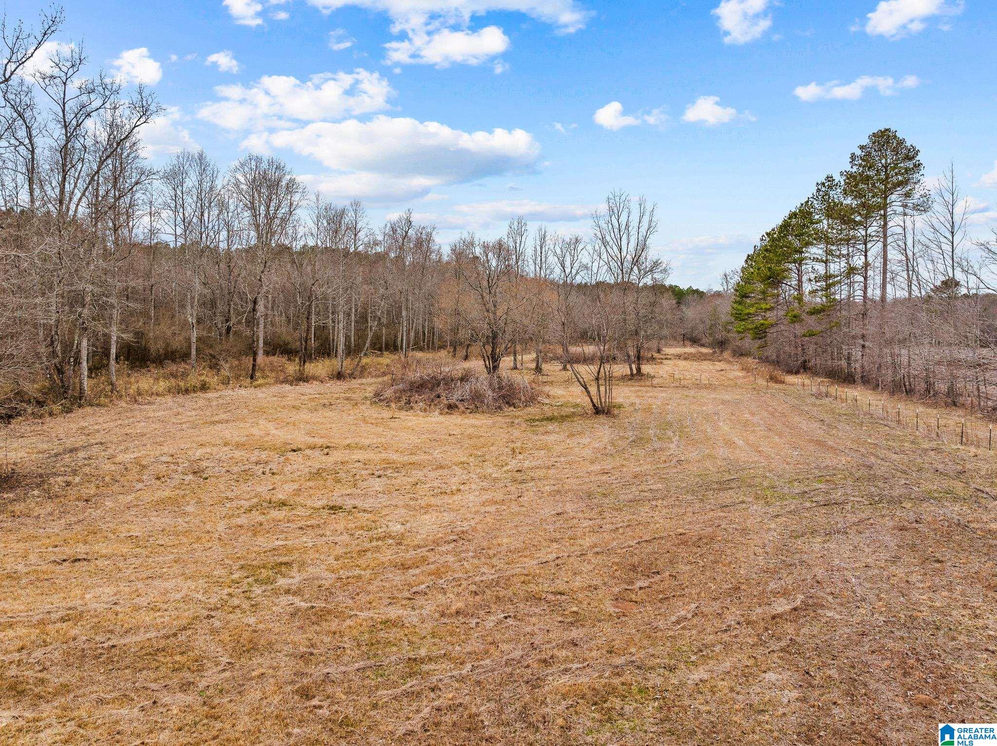 2885 McKay Road Delta, AL 36258 - Photo 48 of 56