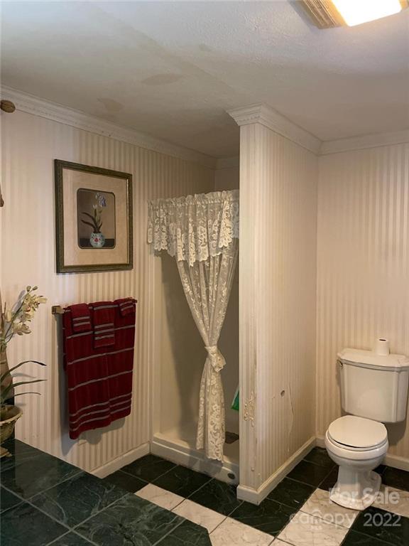 159 Cow Branch Road Green Mountain, NC 28740 - Photo 30 of 41 Gallery Image 30