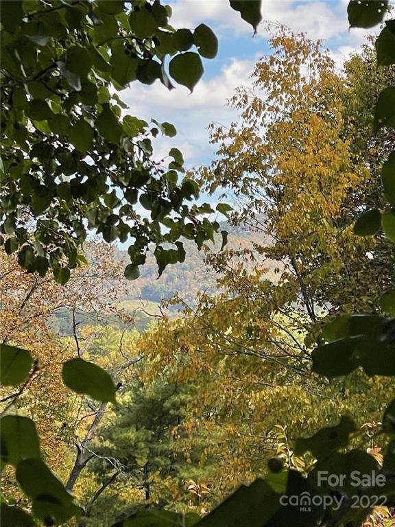 159 Cow Branch Road Green Mountain, NC 28740 - Photo 32 of 41 Gallery Image 32