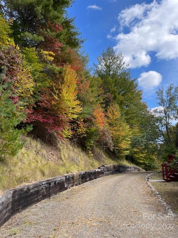 159 Cow Branch Road Green Mountain, NC 28740 - Photo 33 of 41 Gallery Image 33