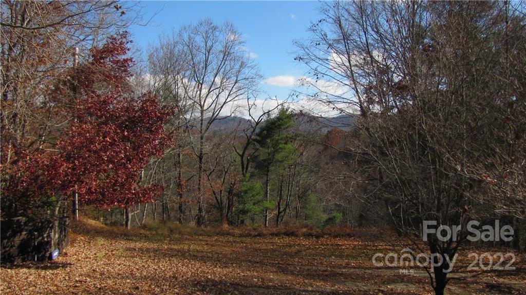 159 Cow Branch Road Green Mountain, NC 28740 - Photo 38 of 41 Gallery Image 38