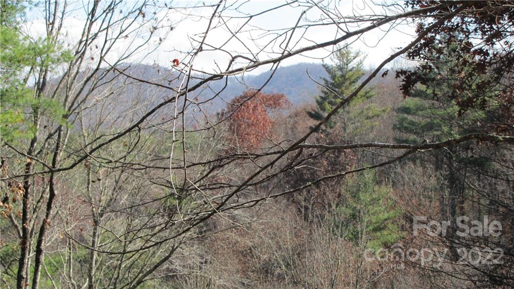 159 Cow Branch Road Green Mountain, NC 28740 - Photo 39 of 41 Gallery Image 39