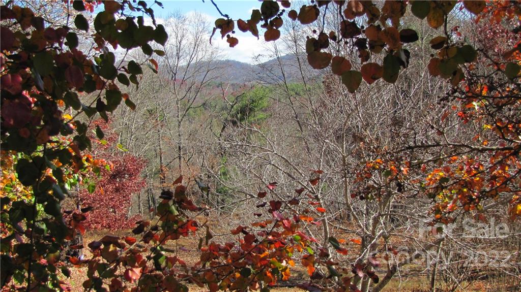 159 Cow Branch Road Green Mountain, NC 28740 - Photo 40 of 41 Gallery Image 40