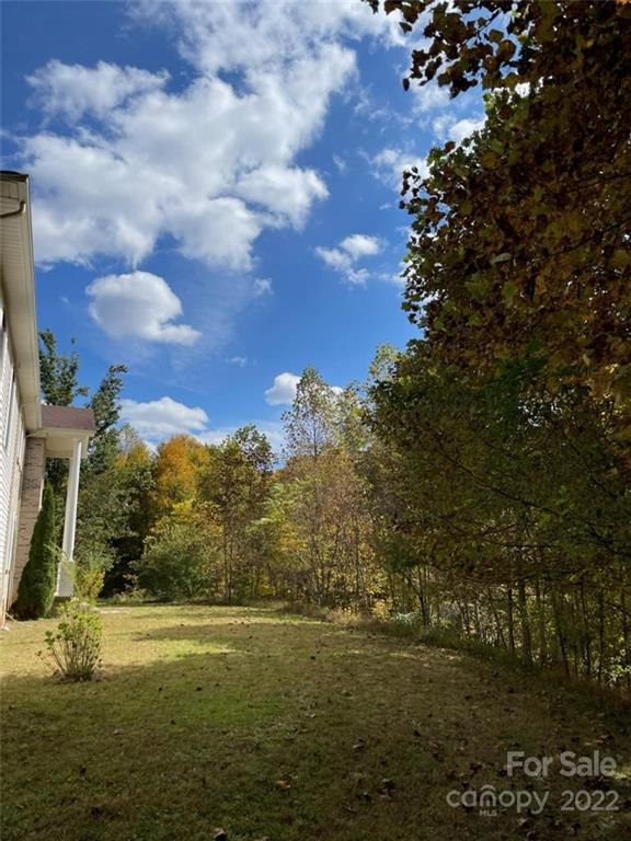 159 Cow Branch Road Green Mountain, NC 28740 - Photo 4 of 41 Gallery Image 4