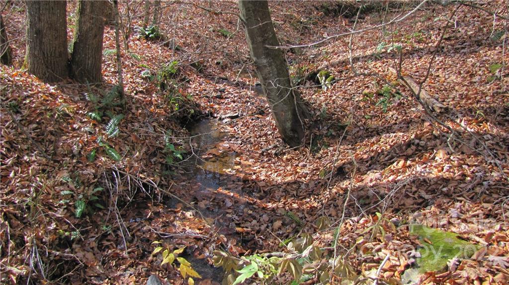 159 Cow Branch Road Green Mountain, NC 28740 - Photo 41 of 41 Gallery Image 41