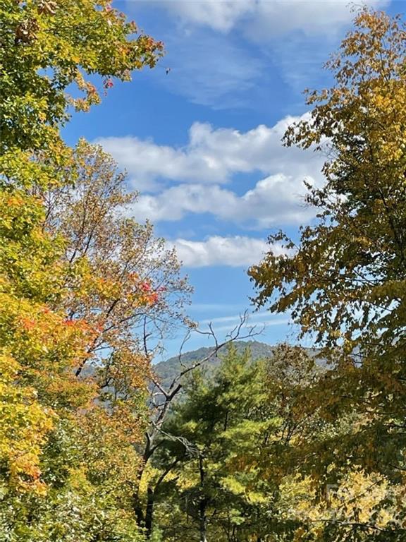 159 Cow Branch Road Green Mountain, NC 28740 - Photo 5 of 41 Gallery Image 5