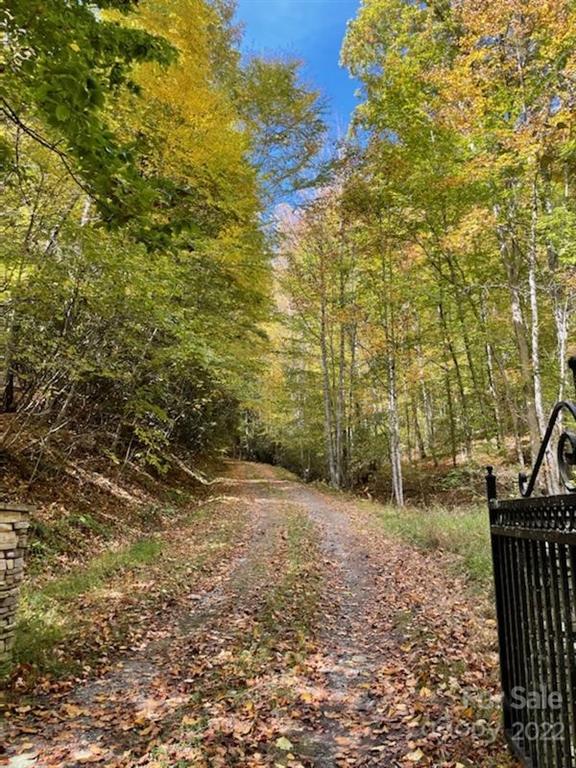 159 Cow Branch Road Green Mountain, NC 28740 - Photo 6 of 41 Gallery Image 6