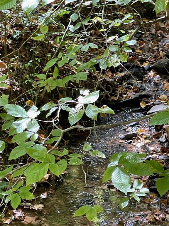 159 Cow Branch Road Green Mountain, NC 28740 - Photo 7 of 41 Gallery Image 7