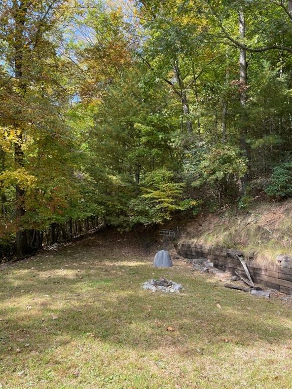 159 Cow Branch Road Green Mountain, NC 28740 - Photo 8 of 41 Gallery Image 8