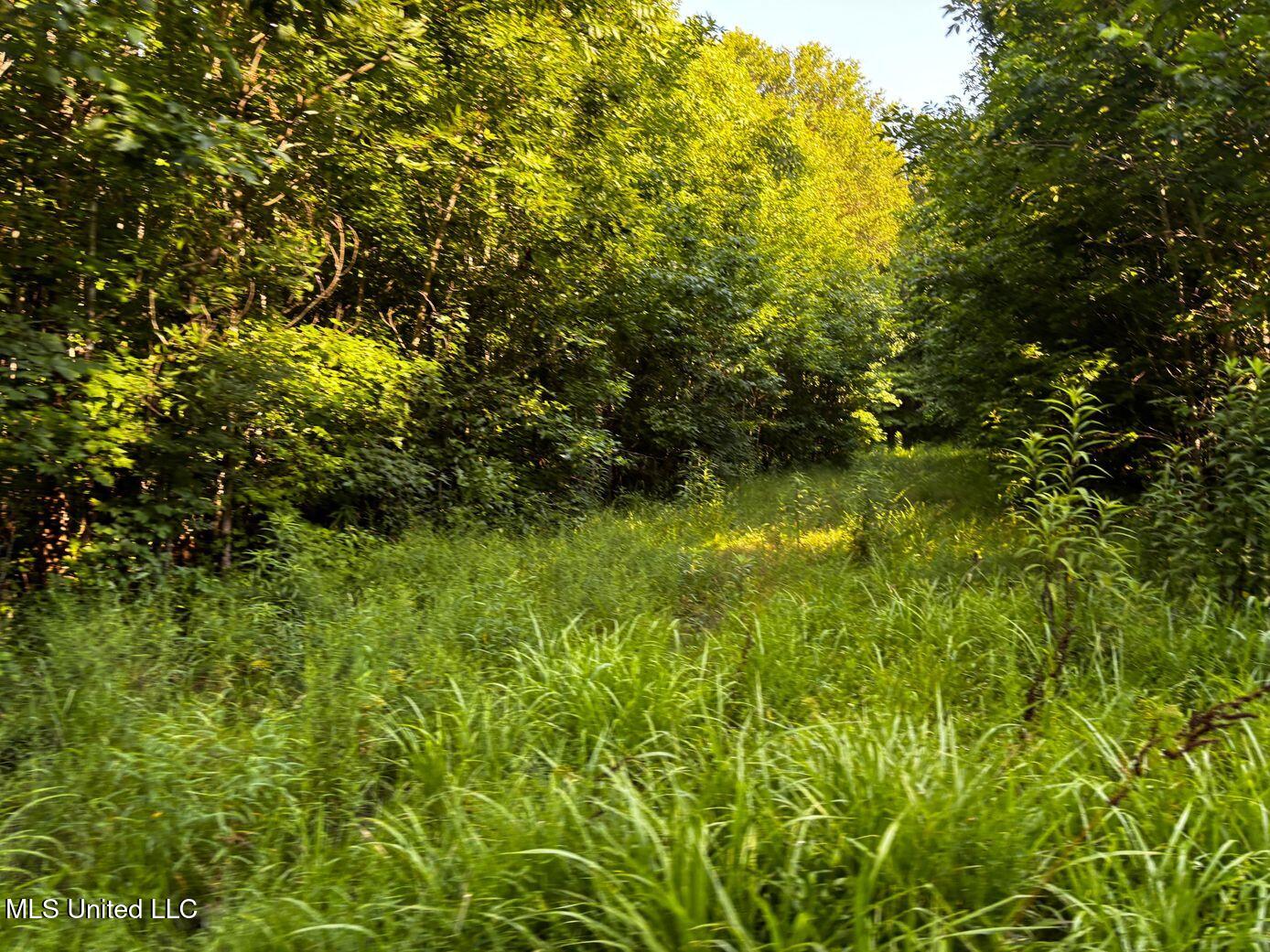 Undisclosed Address Pontotoc, MS 38863 - Photo 1 of 1 Primary