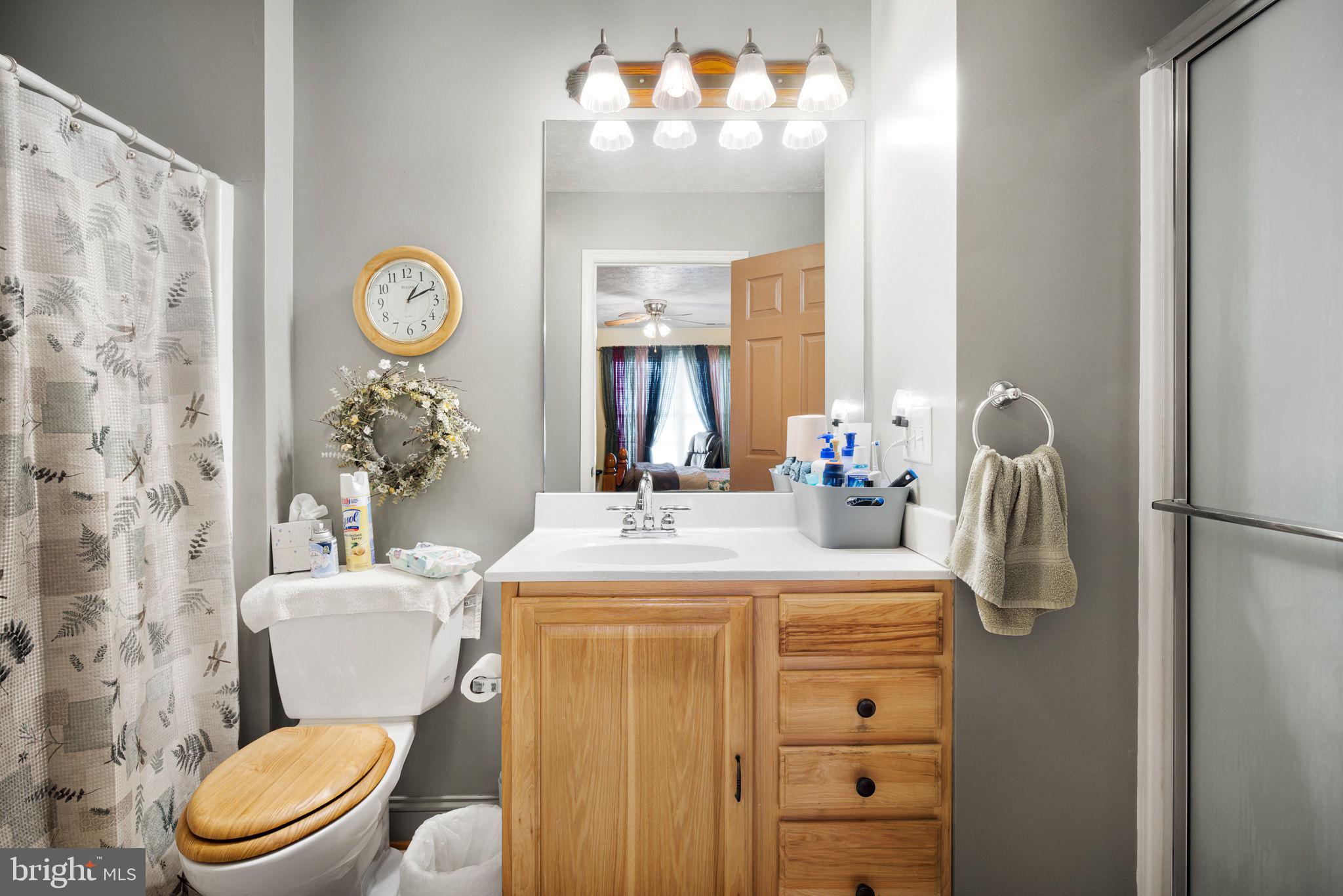 1352 Double Church Road Stephens City, VA 22655 - Photo 22 of 40 Lower level bathroom