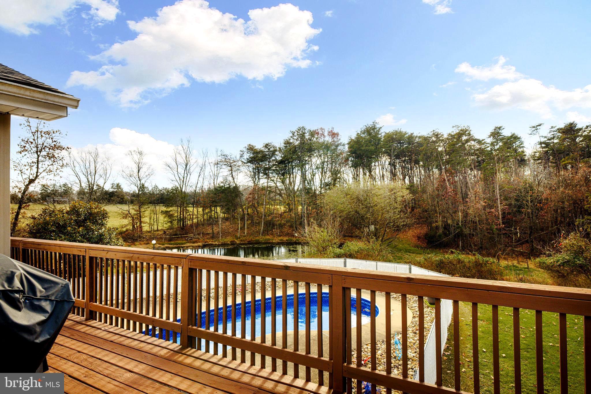 1352 Double Church Road Stephens City, VA 22655 - Photo 3 of 40 Private backyard
