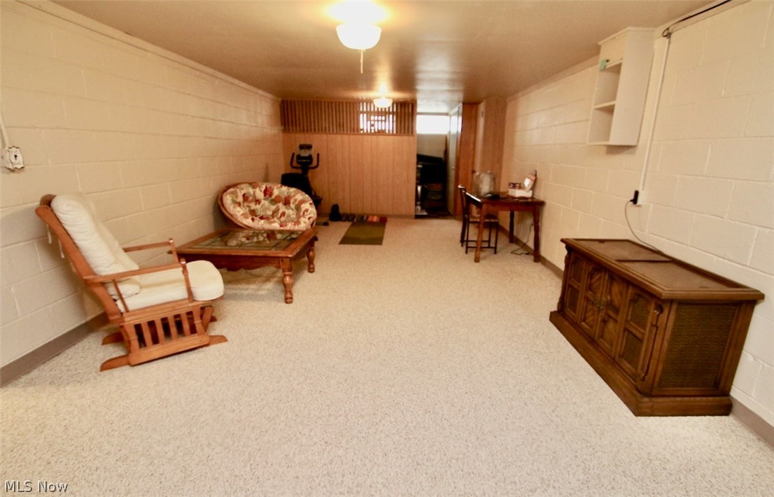 1748 Crestwood Road Cleveland, OH 44124 - Photo 25 of 28 Huge rec room