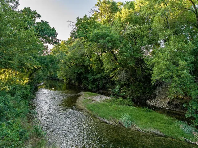 a view of street with lush green forest