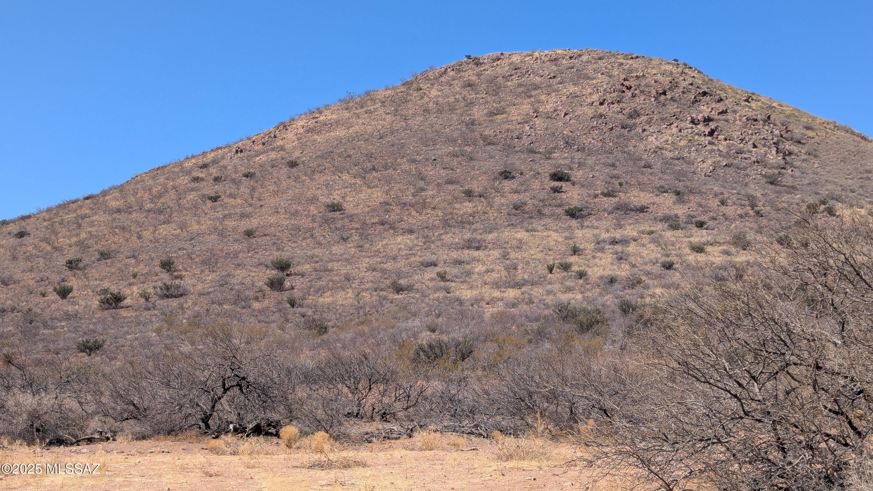 Tbd West Gleeson Road Elfrida, AZ 85610 - Photo 7 of 18 a view of a big yard with a mountain