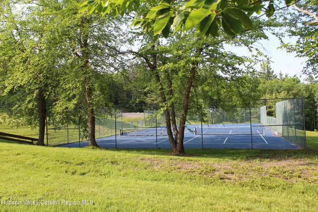 a view of a yard with large tree