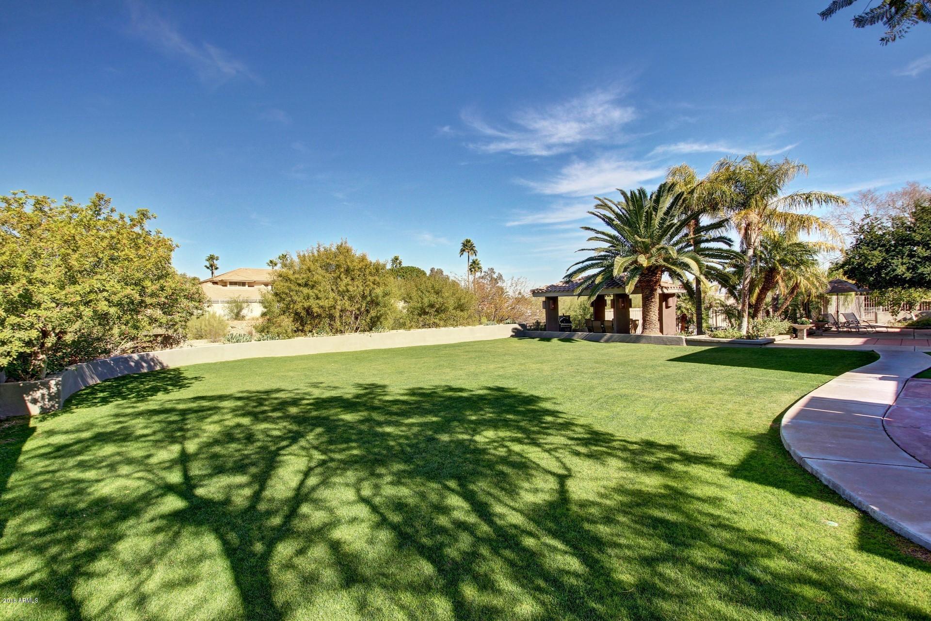 2350 East Mountain View Road Phoenix, AZ 85028 - Photo 40 of 48 39 Backyard Lawn