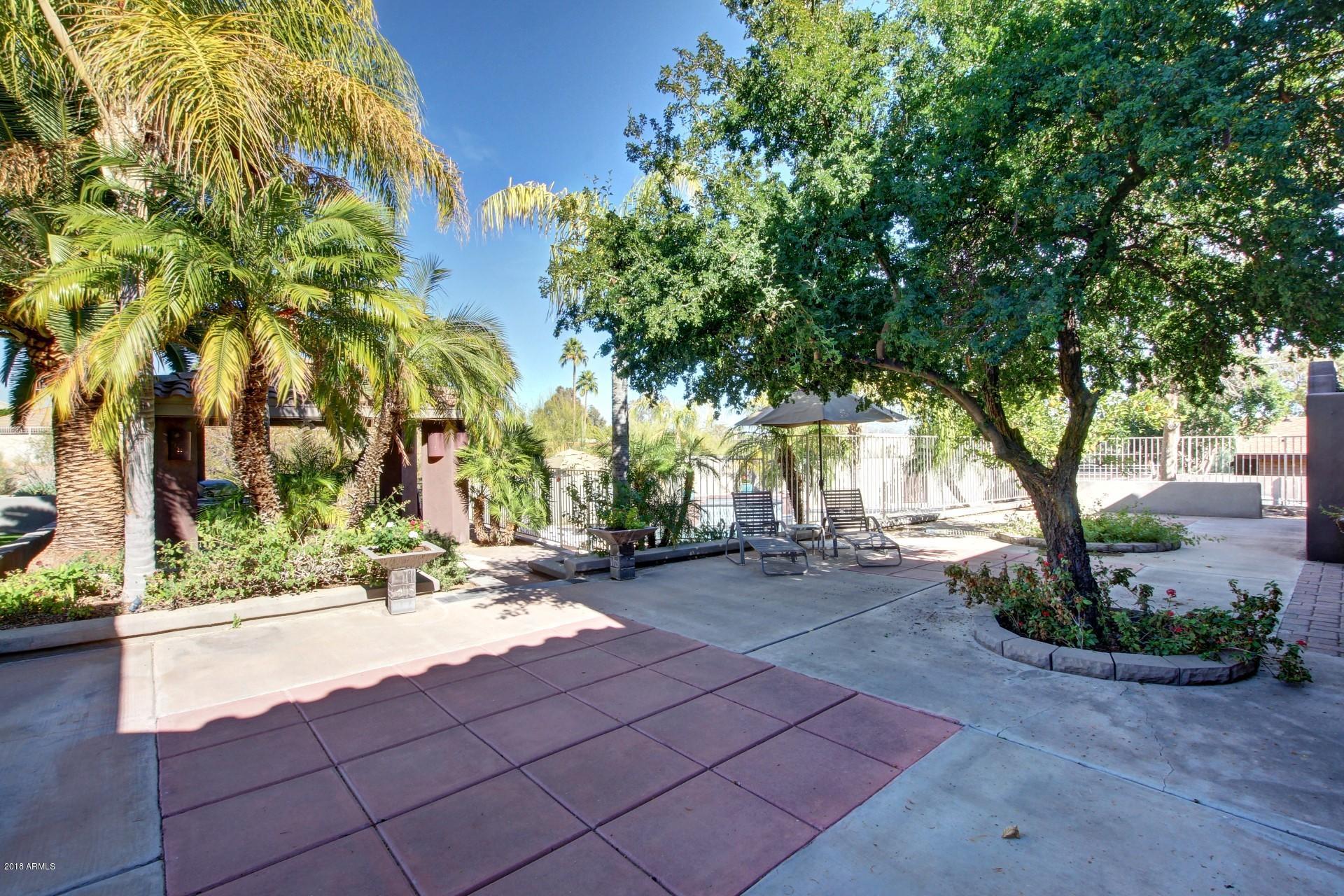 2350 East Mountain View Road Phoenix, AZ 85028 - Photo 43 of 48 43 Backyard Patio Area overlooking Pool