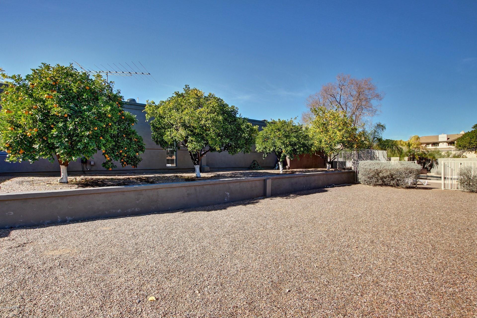 2350 East Mountain View Road Phoenix, AZ 85028 - Photo 46 of 48 46 RV Gate and Parking and Mature Citrus