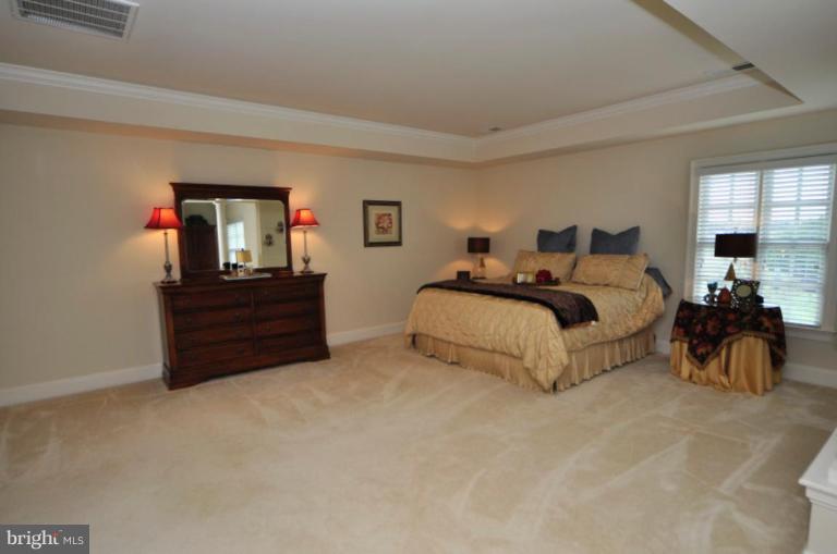 41350 Raspberry Drive Leesburg, VA 20176 - Photo 22 of 30 Master Bedroom #2