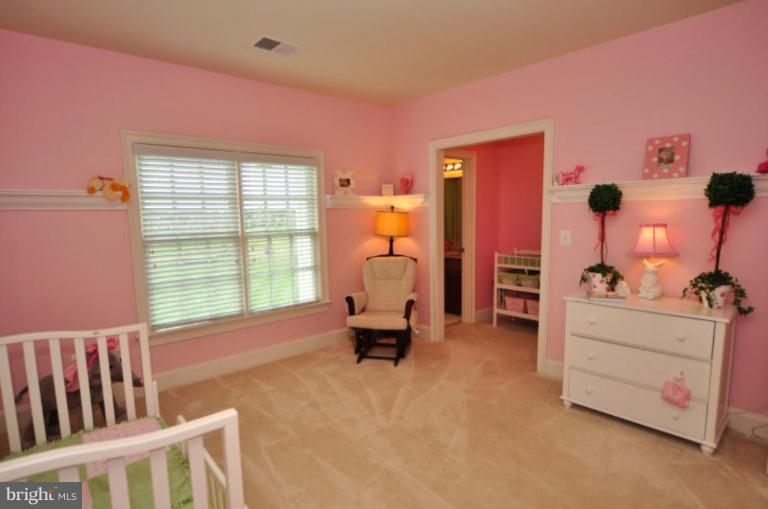 41350 Raspberry Drive Leesburg, VA 20176 - Photo 6 of 30 Bedroom #3
