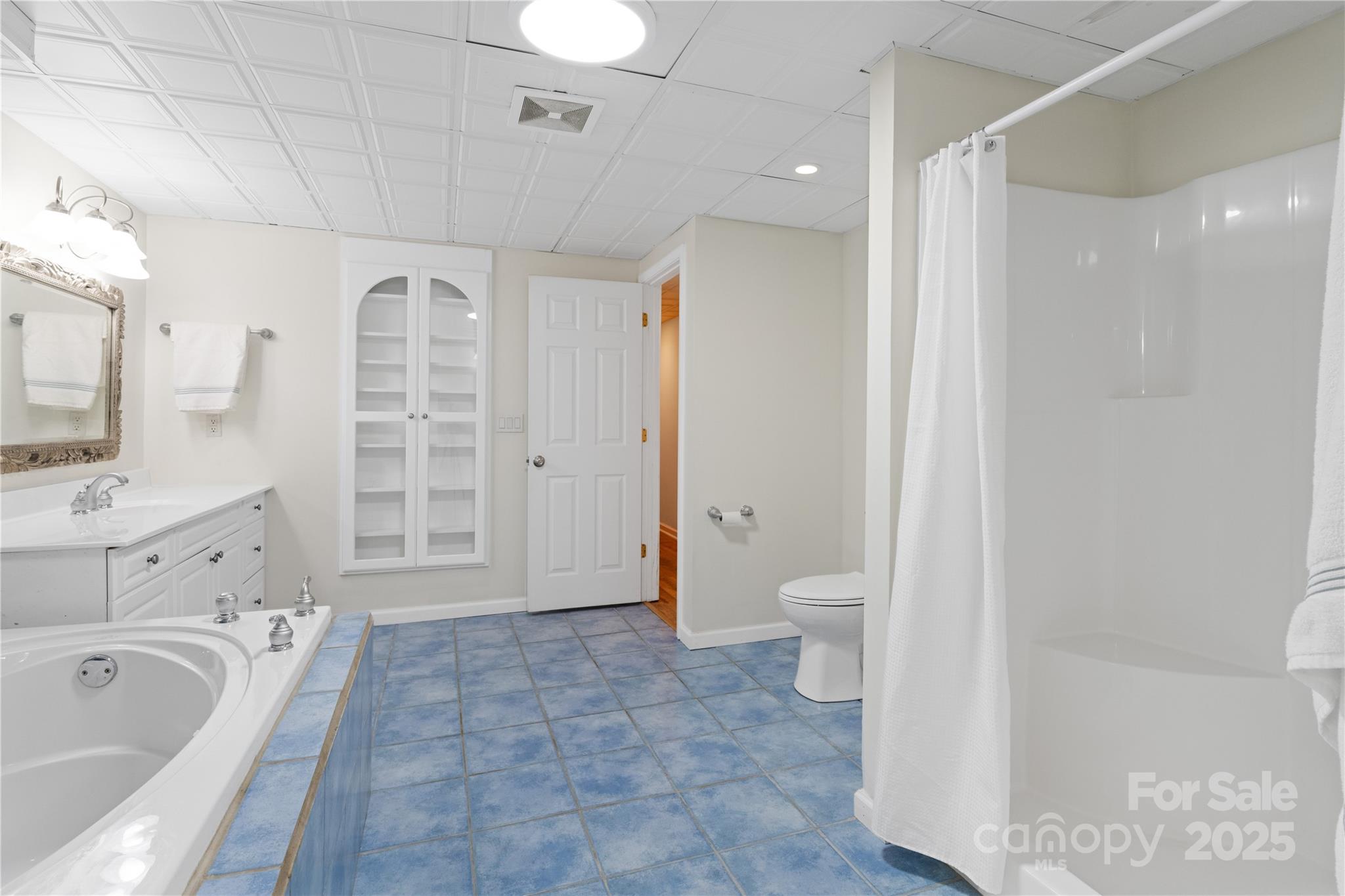 3 Northwood Road Asheville, NC 28804 - Photo 36 of 48 a bathroom with a bathtub toilet sink shower and mirror