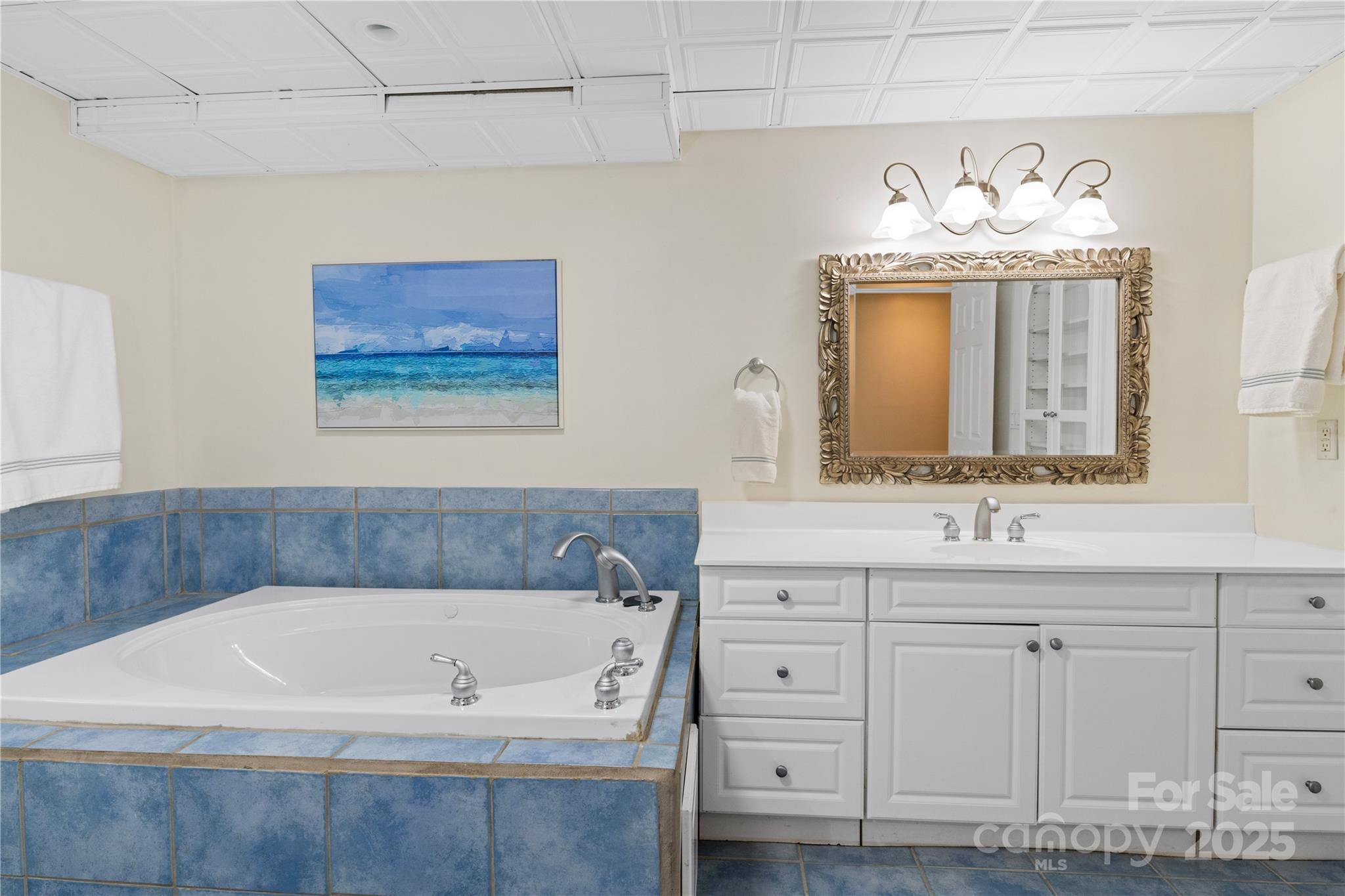3 Northwood Road Asheville, NC 28804 - Photo 37 of 48 a bathroom with a tub sink and a mirror