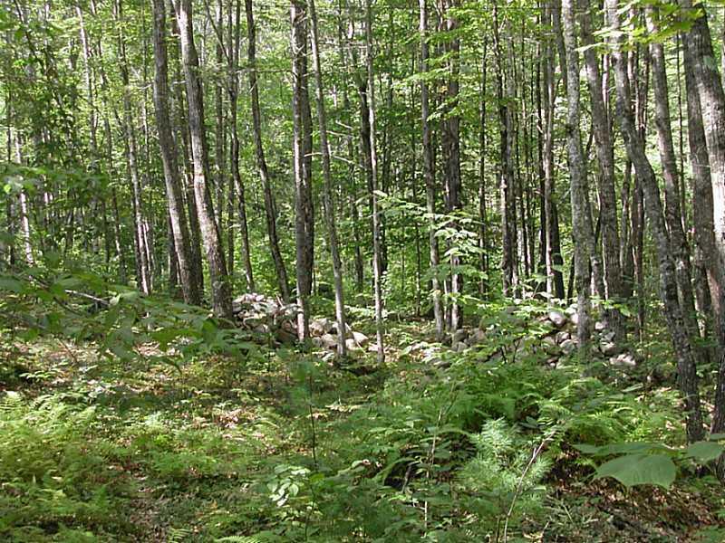 511 Kansas Road Bridgton, ME 04009 - Photo 3 of 14 Land. Well cared for acreage in tree...