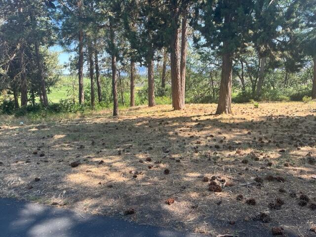 Kestrel Road Klamath Falls, OR 97601 - Photo 5 of 7 Great level build site!