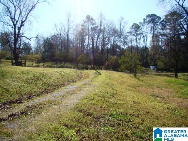 678 Old Sulphur Springs Road, Unit 2 Wellington, AL 36279 - Photo 10 of 11