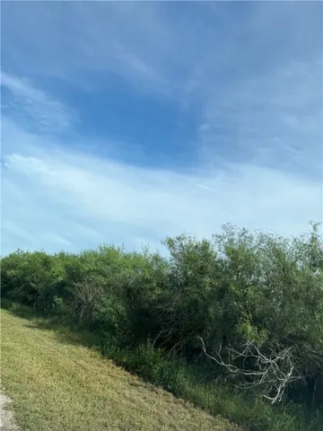 a view of a city with lush green forest