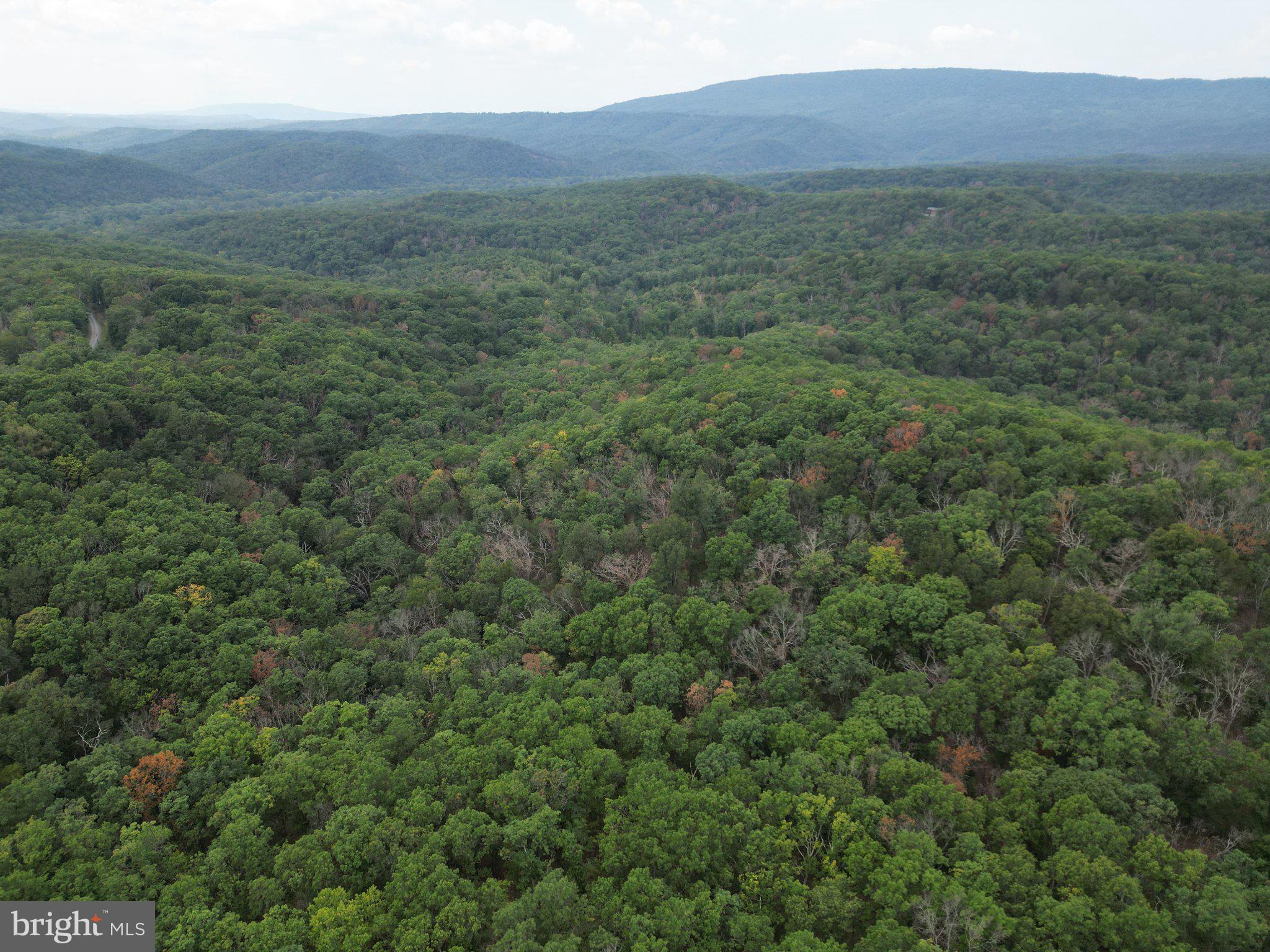 29-acres 29-acres Gaither Road Great Cacapon, WV 25422 - Photo 26 of 45 Gallery Image 26
