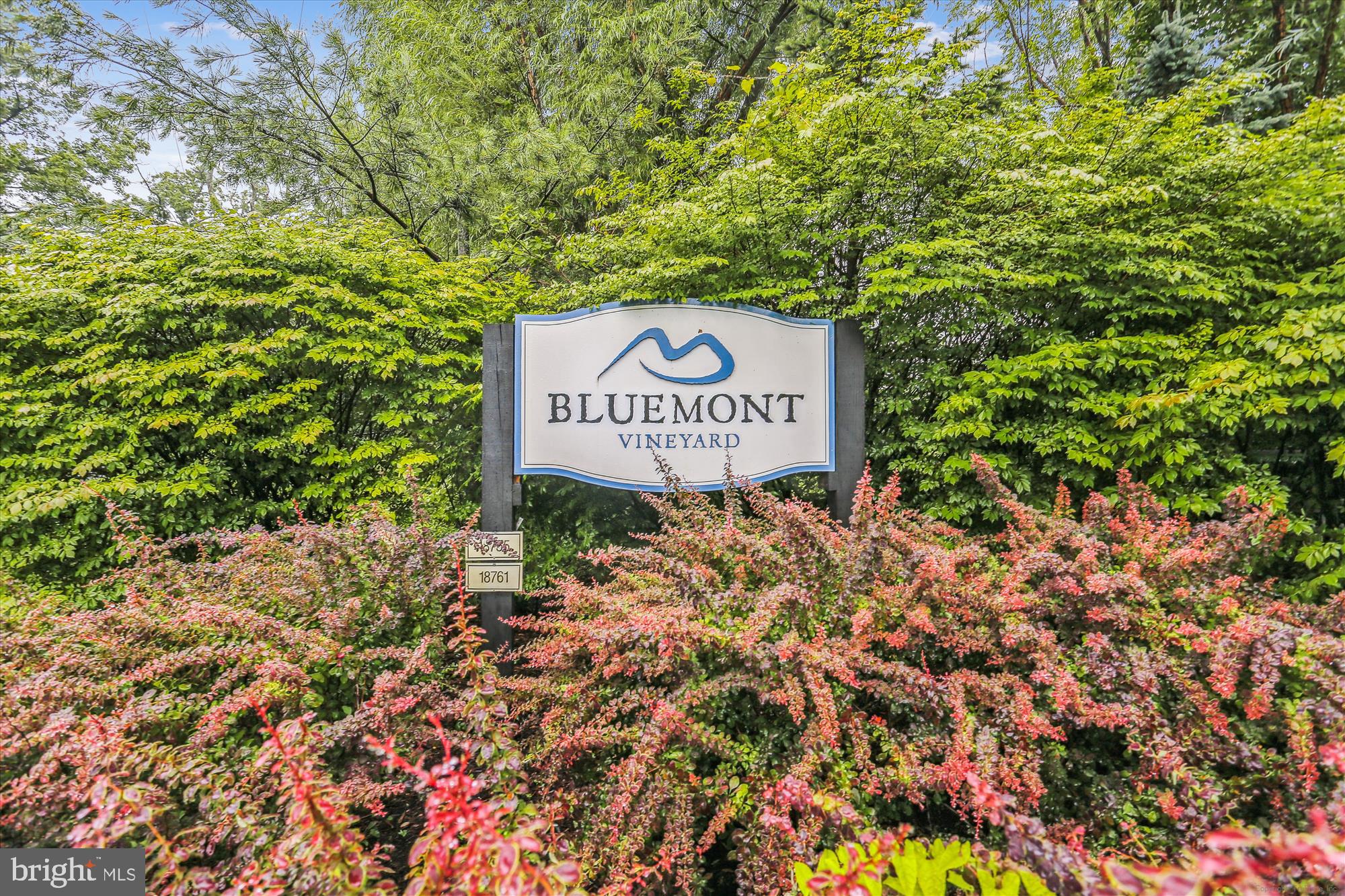 598 Timber Lane Bluemont, VA 20135 - Photo 40 of 43 Bluemont Vineyard