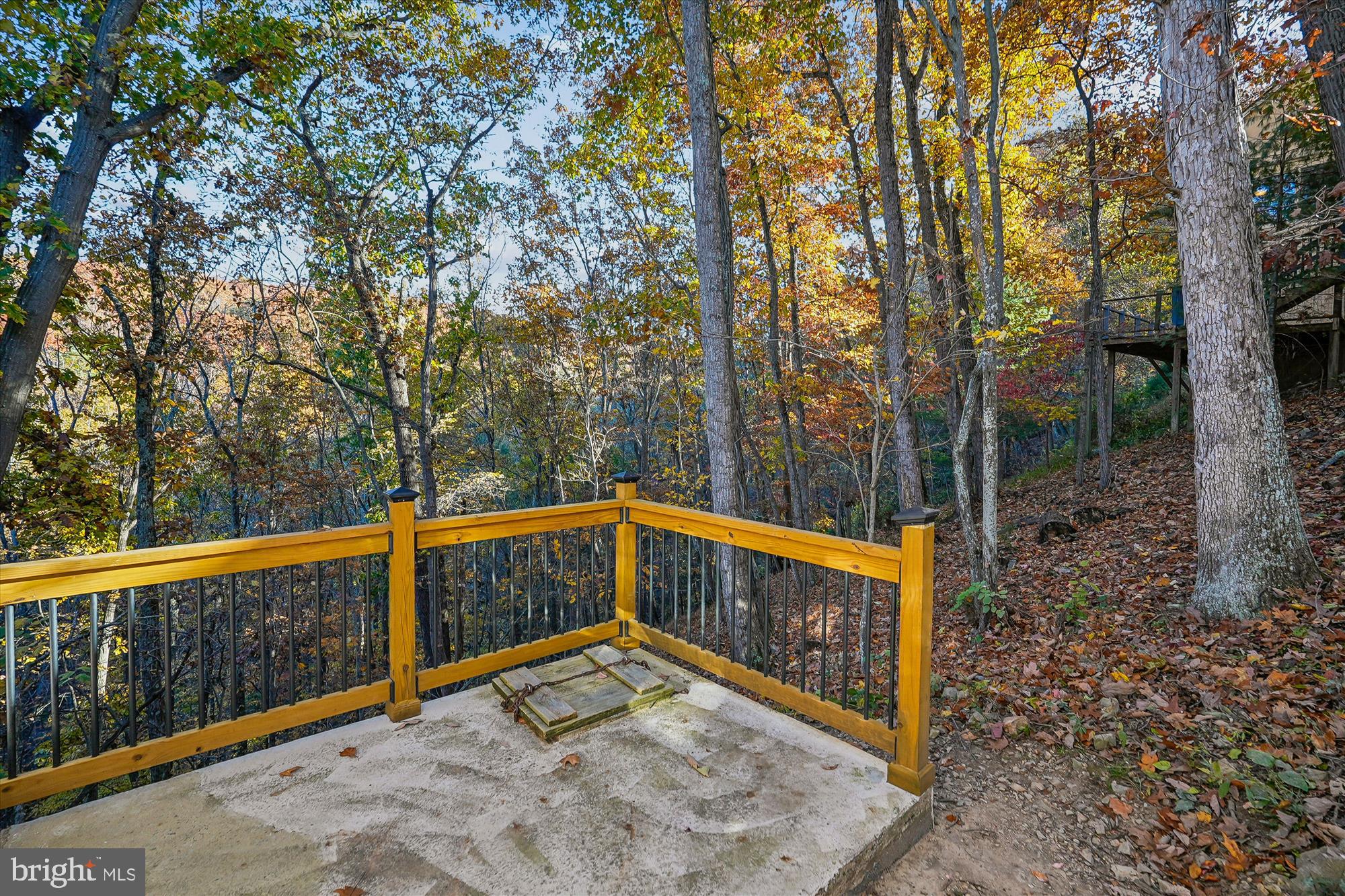 598 Timber Lane Bluemont, VA 20135 - Photo 6 of 43 Back Deck