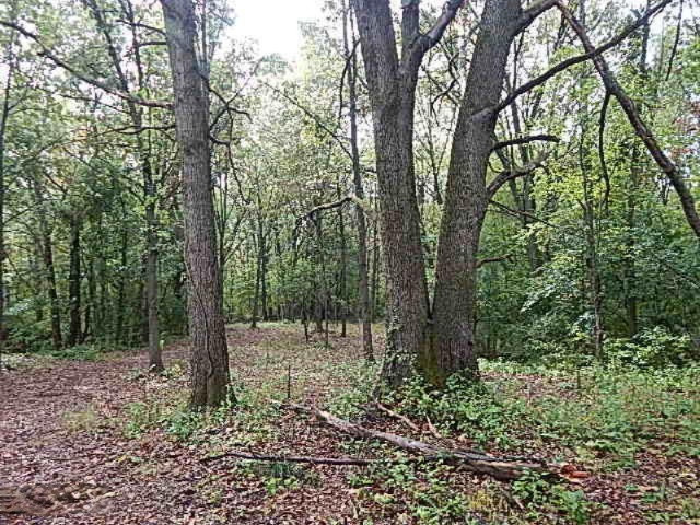 4499 Seymour Road Jackson, MI 49201 - Photo 6 of 11 DSCN8476