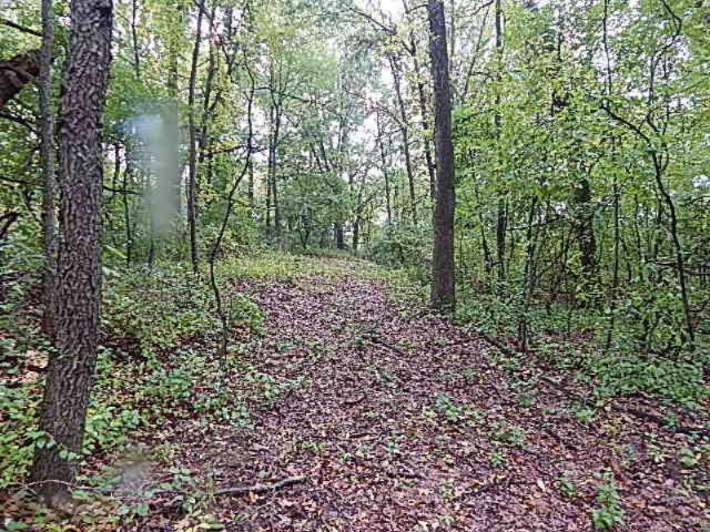 4499 Seymour Road Jackson, MI 49201 - Photo 8 of 11 DSCN8478