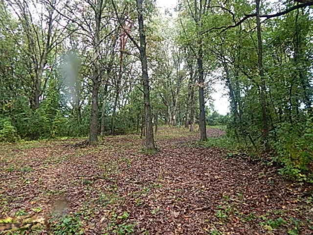 4499 Seymour Road Jackson, MI 49201 - Photo 9 of 11 DSCN8479