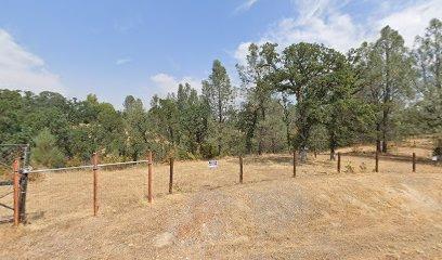 7280 Bluebird Road Corning, CA 96021 - Photo 1 of 1 a view of a yard with a tree