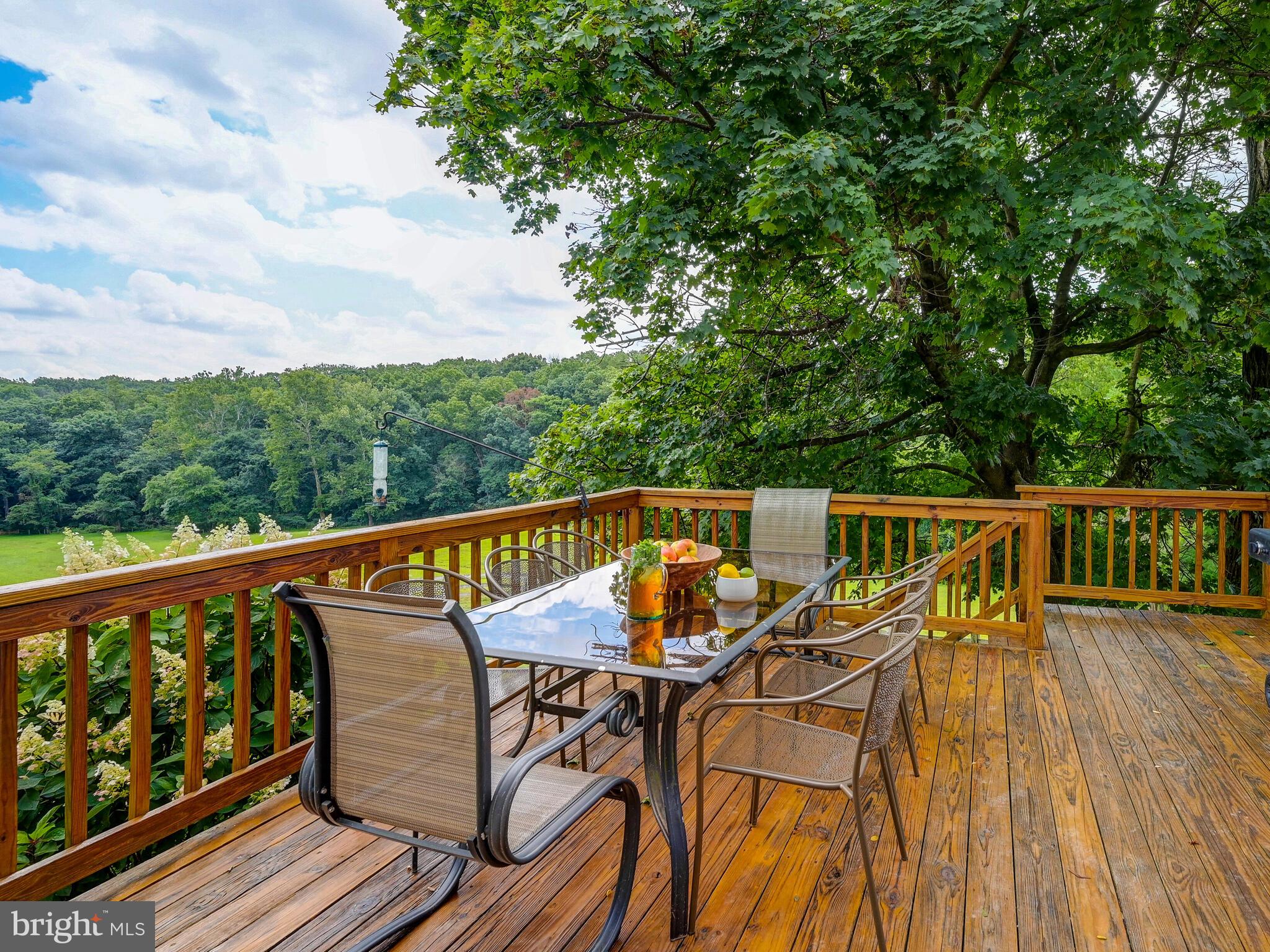 4145 Madonna Road Jarrettsville, MD 21084 - Photo 37 of 63
