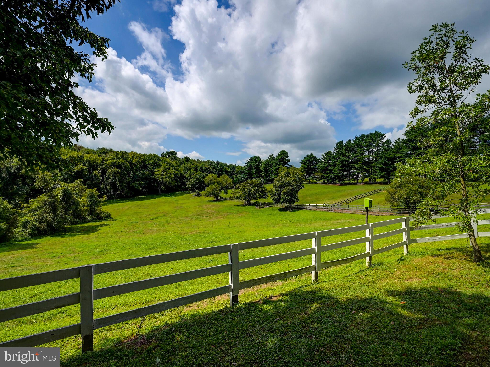 4145 Madonna Road Jarrettsville, MD 21084 - Photo 55 of 63