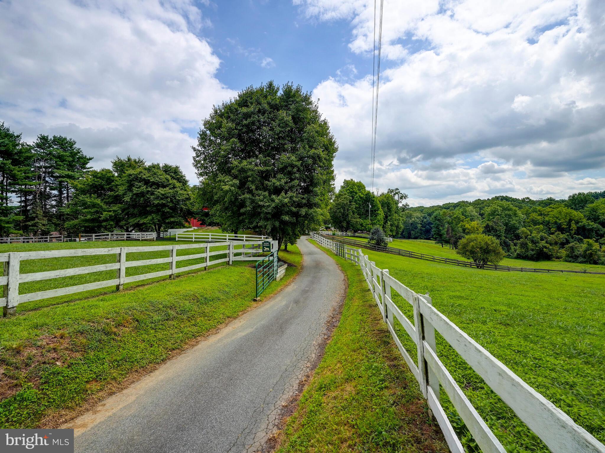 4145 Madonna Road Jarrettsville, MD 21084 - Photo 60 of 63