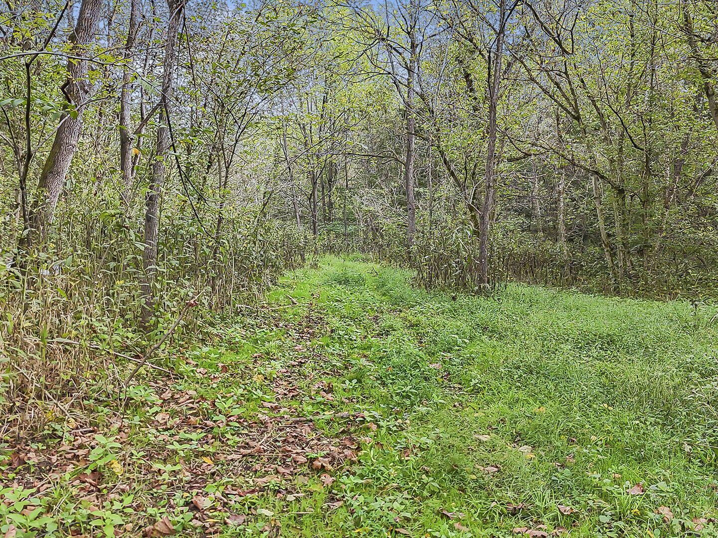0 Cr E Road Pomeroy, OH 45769 - Photo 61 of 82 70-web-or-mls-DJI_20260918233515_0088_D