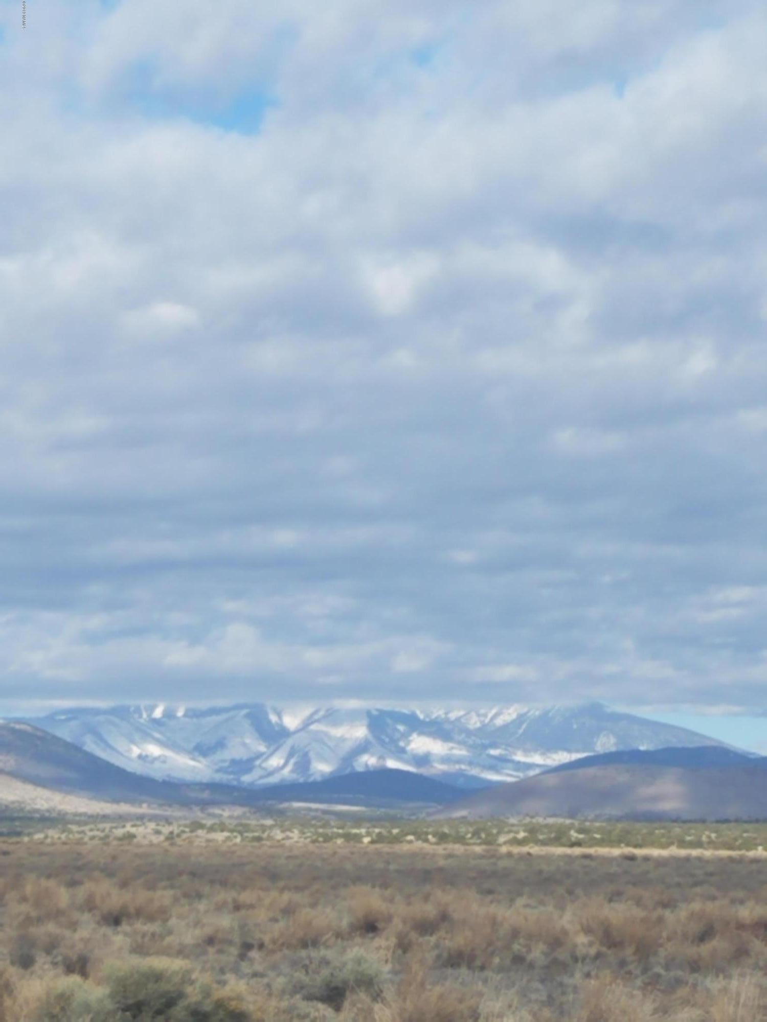 17058 Alpine Ranch Flagstaff, AZ 86004 - Photo 1 of 1 View of Peaks