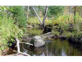 0 Wallace Hill Road Lisbon, NH 03585 - Photo 2 of 2