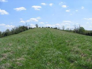 4125 South Fork Road Owenton, KY 40359 - Photo 5 of 7 Gallery Image 5