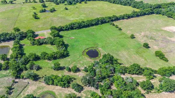 a view of a garden with a lake