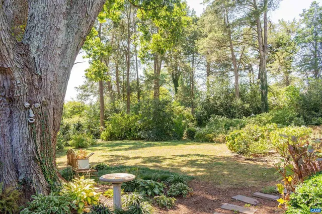 a view of yard with green space